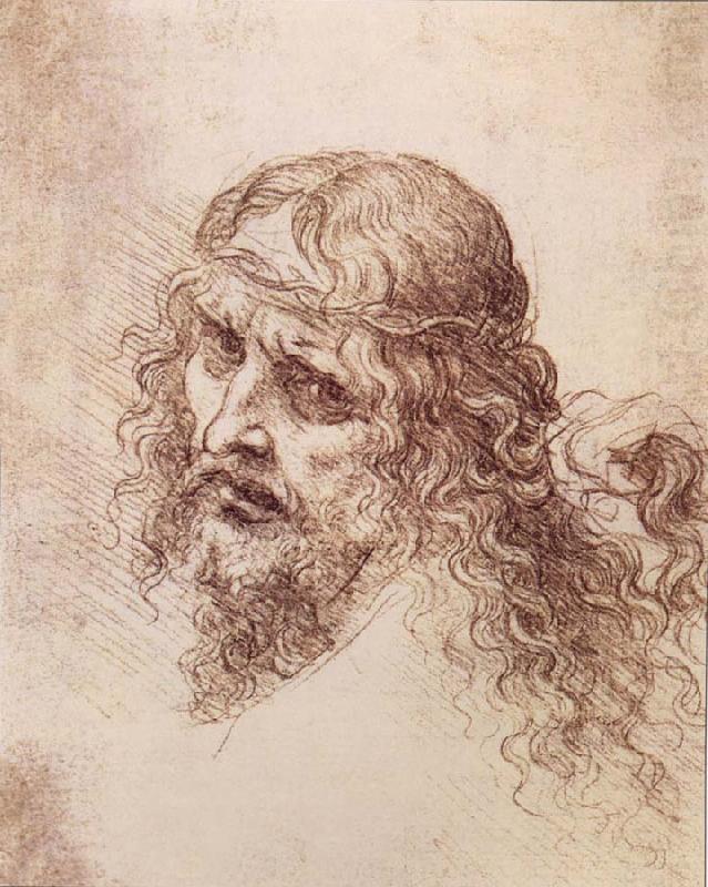 LEONARDO da Vinci Head and shoulders Christs china oil painting image